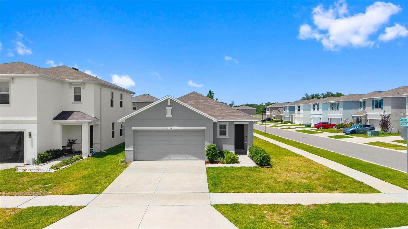 2959 COMMON FIG RUN, WESLEY CHAPEL, FL, 33543