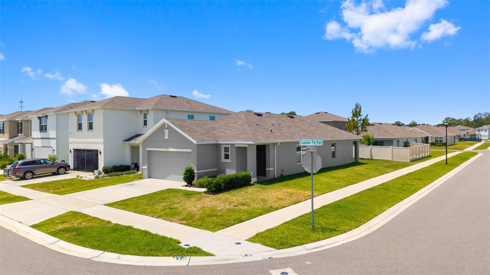 2959 COMMON FIG RUN, WESLEY CHAPEL, FL, 33543
