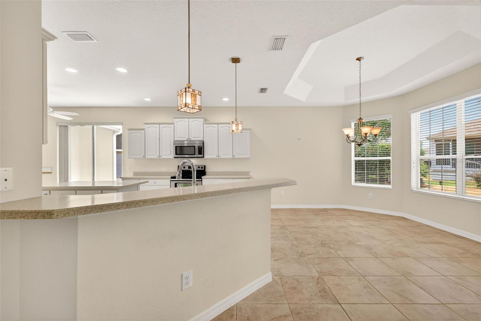2970 FISHER AVE, THE VILLAGES, FL, 32163