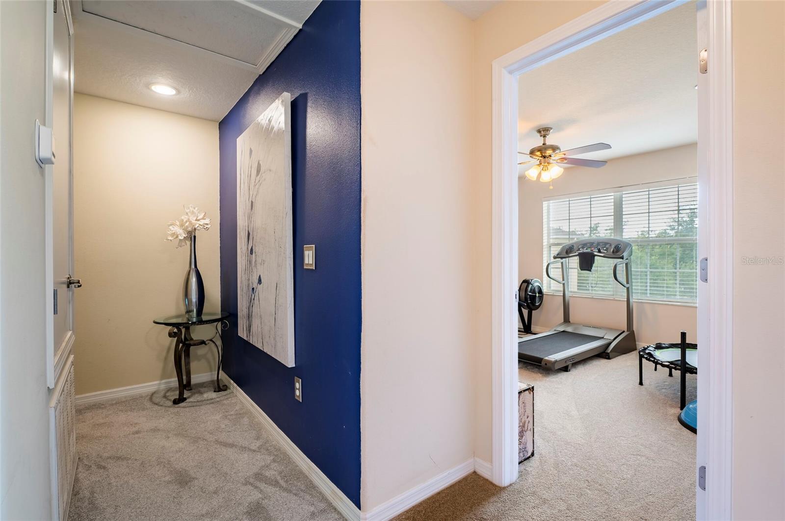 10144 ARBOR RUN DR #112, TAMPA, FL, 33647