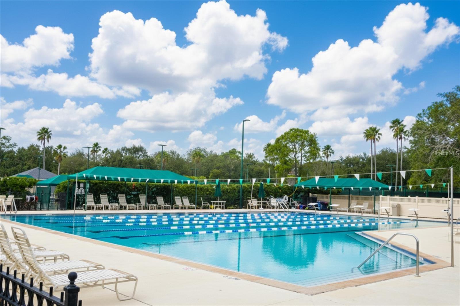 10144 ARBOR RUN DR #112, TAMPA, FL, 33647