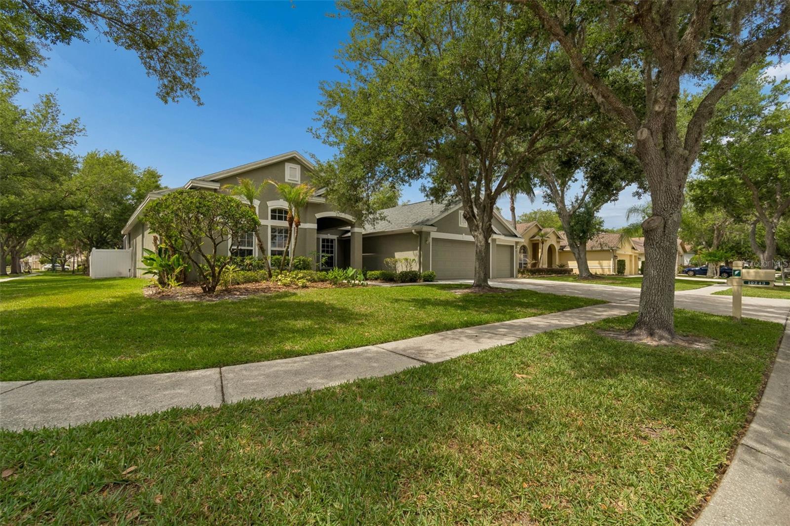 10243 SHADOW BRANCH DR, TAMPA, FL, 33647
