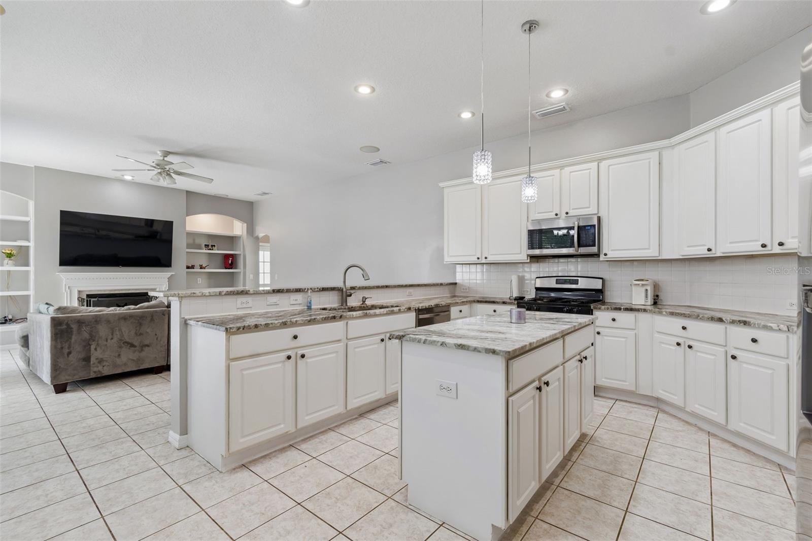 10243 SHADOW BRANCH DR, TAMPA, FL, 33647