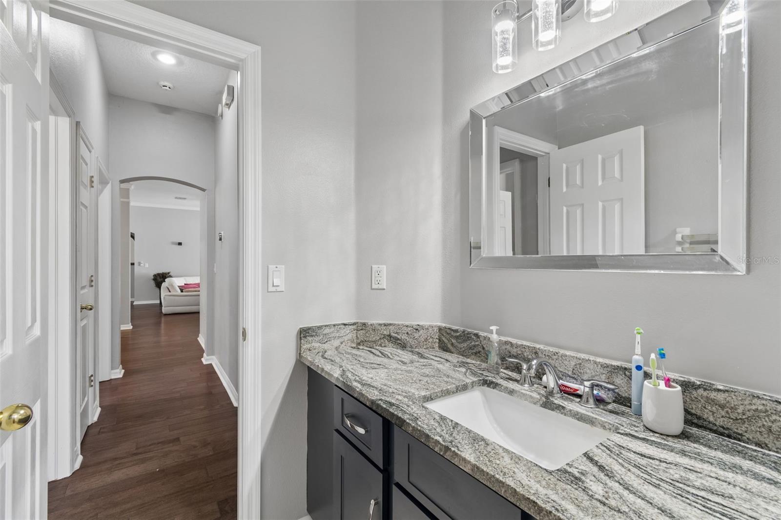 10243 SHADOW BRANCH DR, TAMPA, FL, 33647