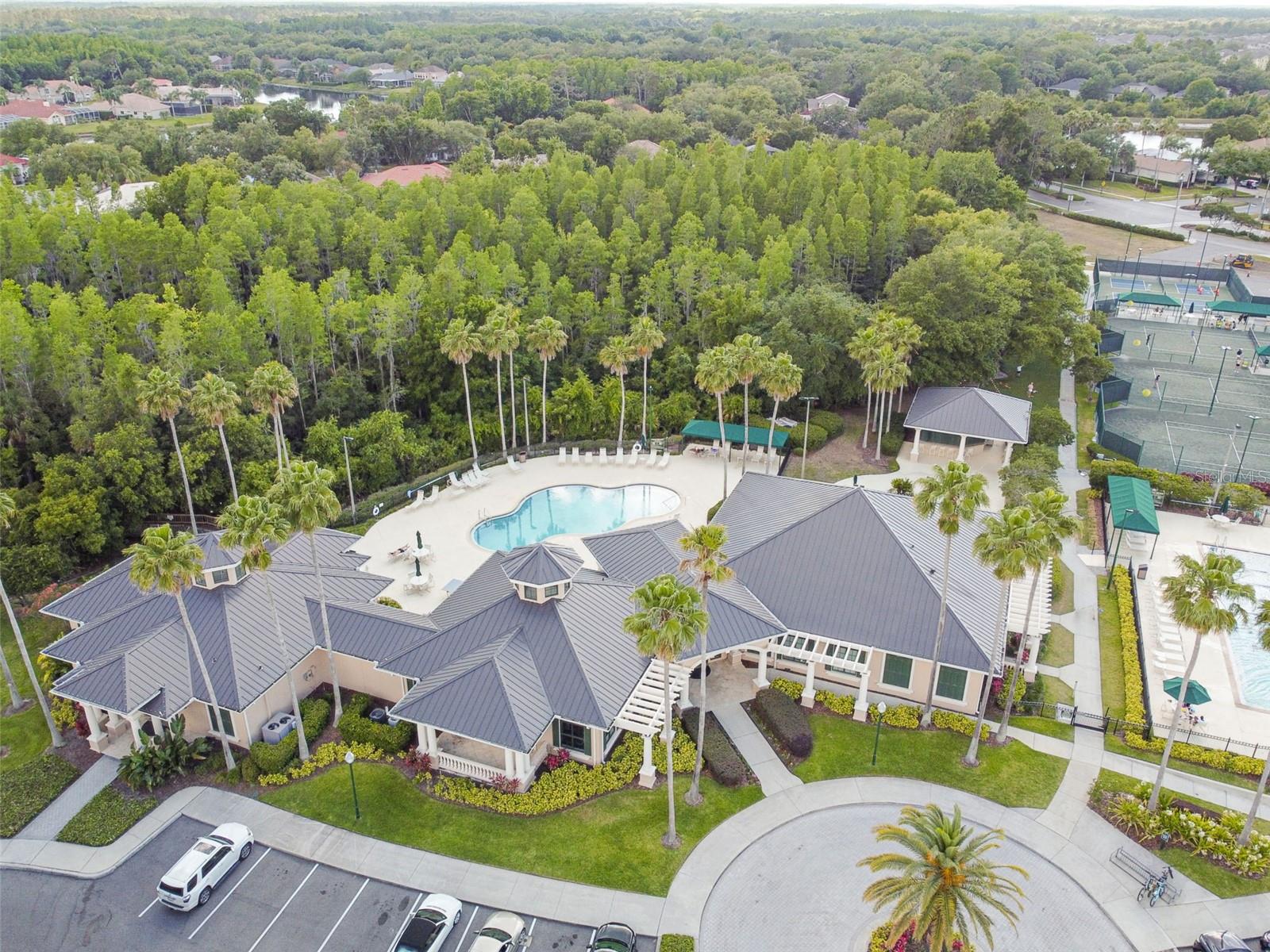 10243 SHADOW BRANCH DR, TAMPA, FL, 33647