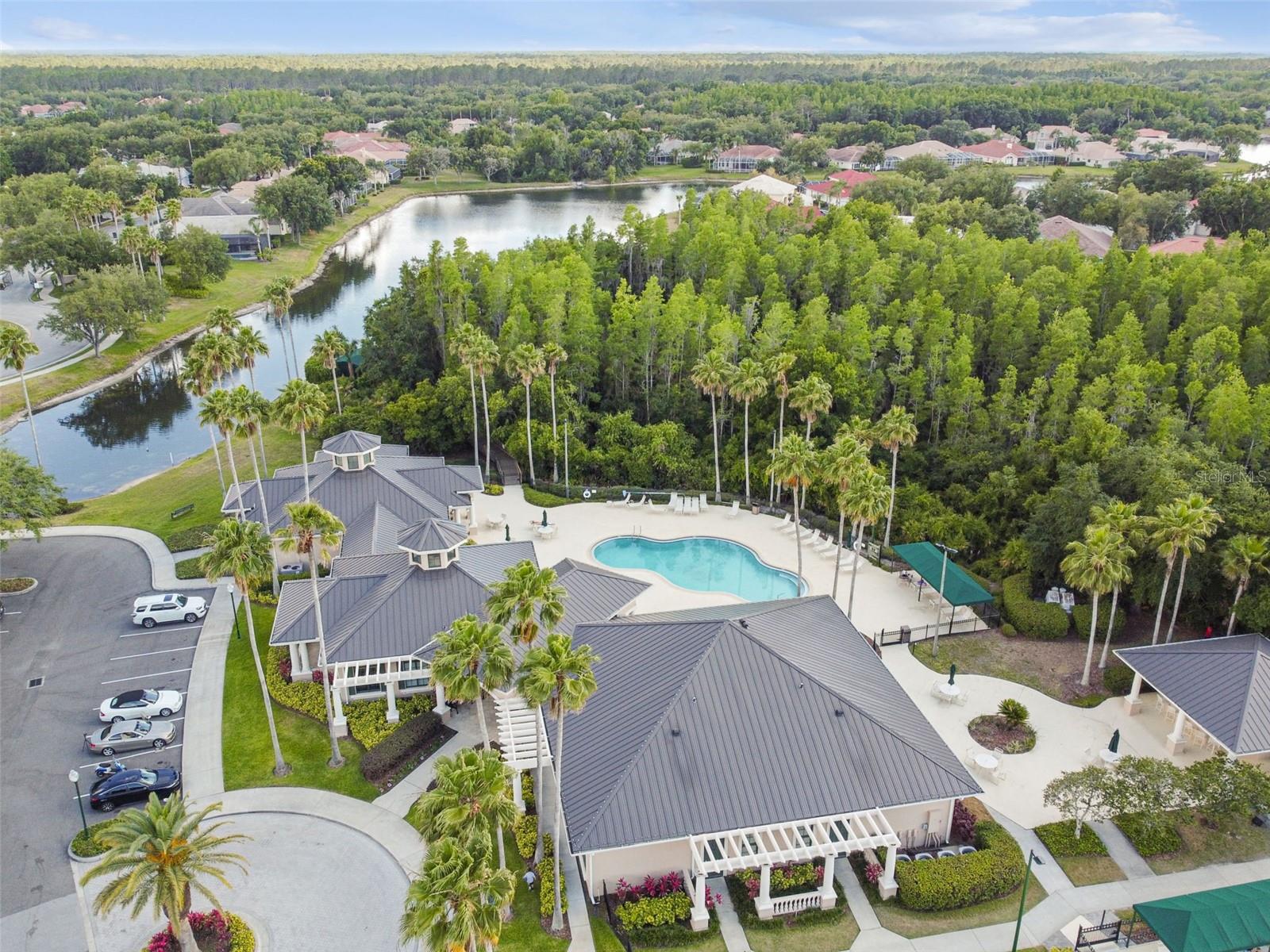 10243 SHADOW BRANCH DR, TAMPA, FL, 33647