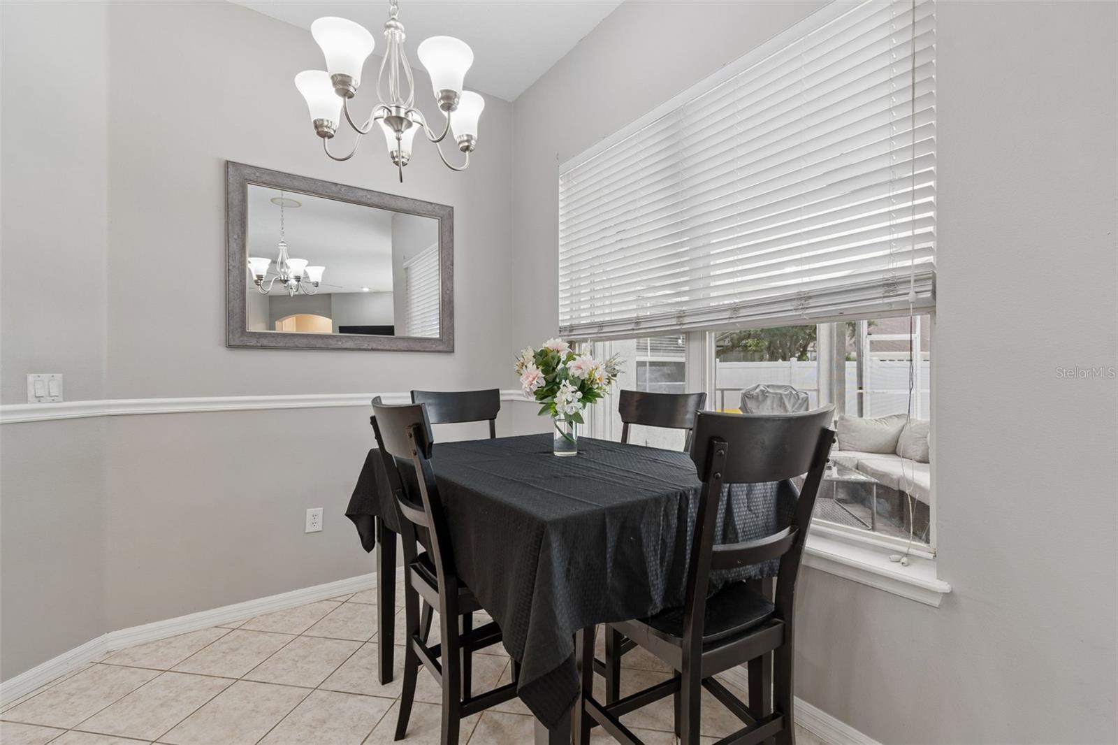 10243 SHADOW BRANCH DR, TAMPA, FL, 33647