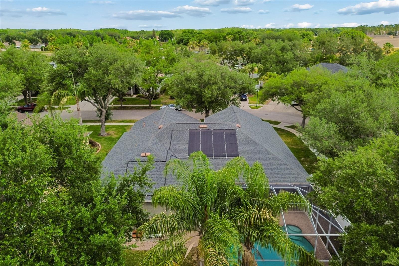 10243 SHADOW BRANCH DR, TAMPA, FL, 33647