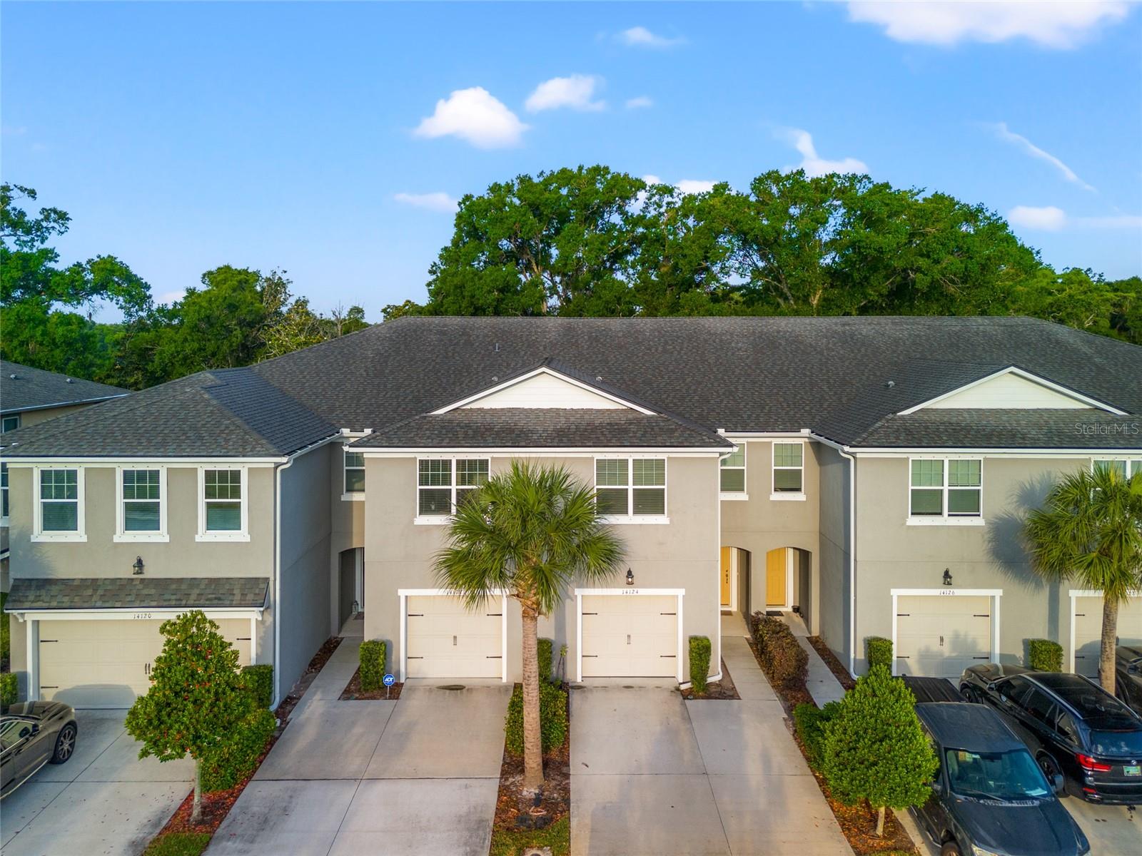 14124 DAMSELFLY DR, TAMPA, FL, 33625
