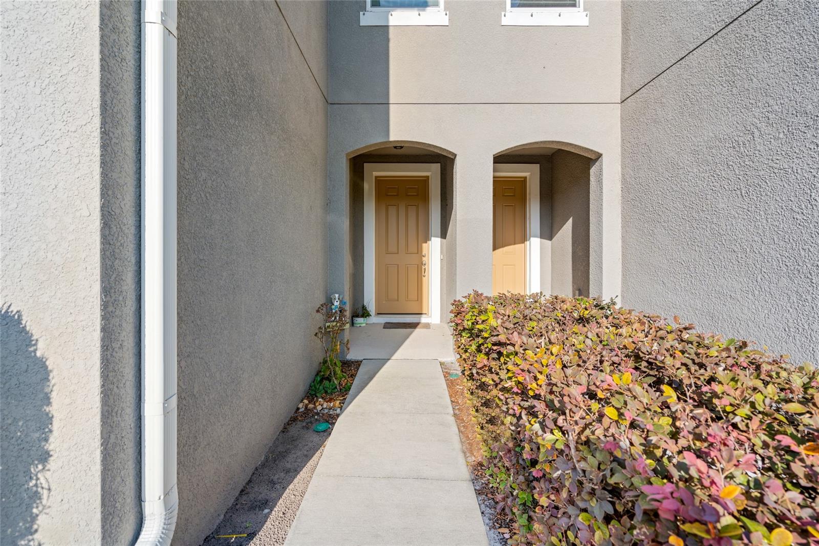 14124 DAMSELFLY DR, TAMPA, FL, 33625