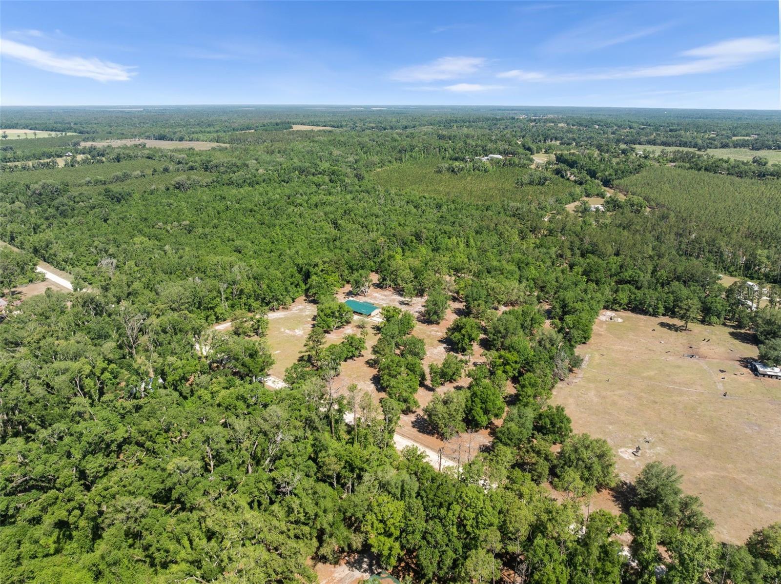 16193 24TH ST, LIVE OAK, FL, 32060