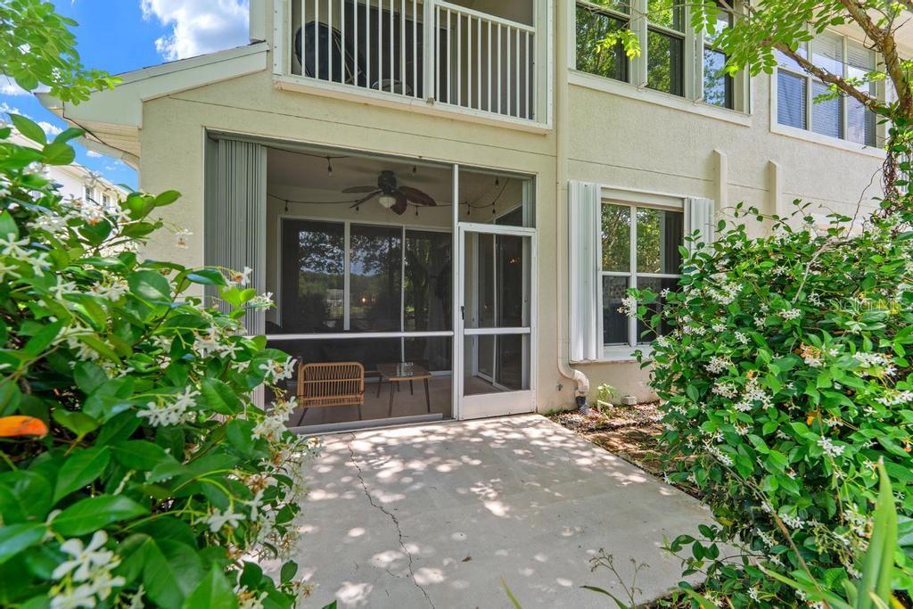 14072 WATERVILLE CIR, TAMPA, FL, 33626