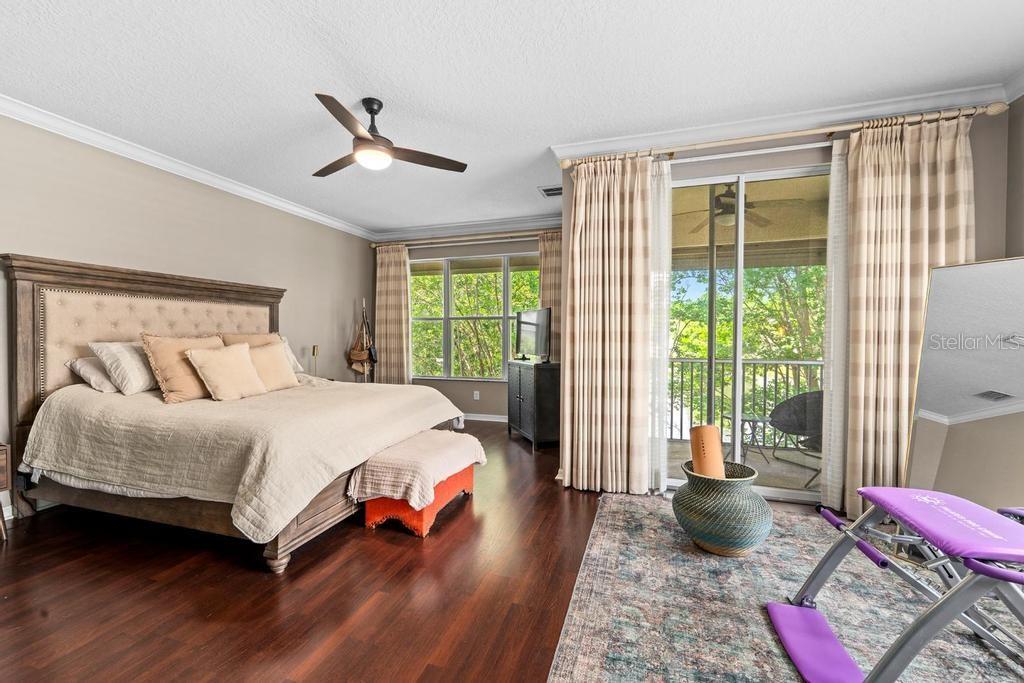 14072 WATERVILLE CIR, TAMPA, FL, 33626