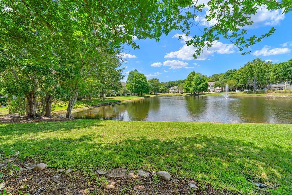 14072 WATERVILLE CIR, TAMPA, FL, 33626