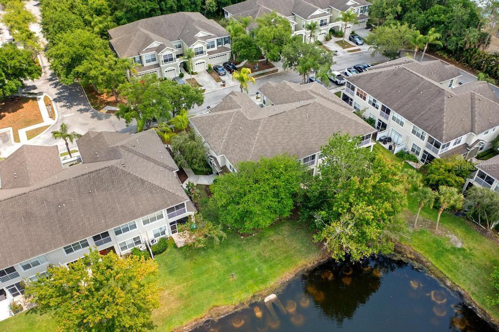 14072 WATERVILLE CIR, TAMPA, FL, 33626