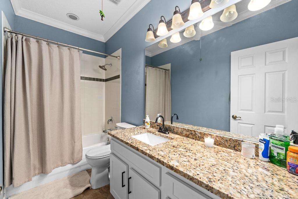 14072 WATERVILLE CIR, TAMPA, FL, 33626