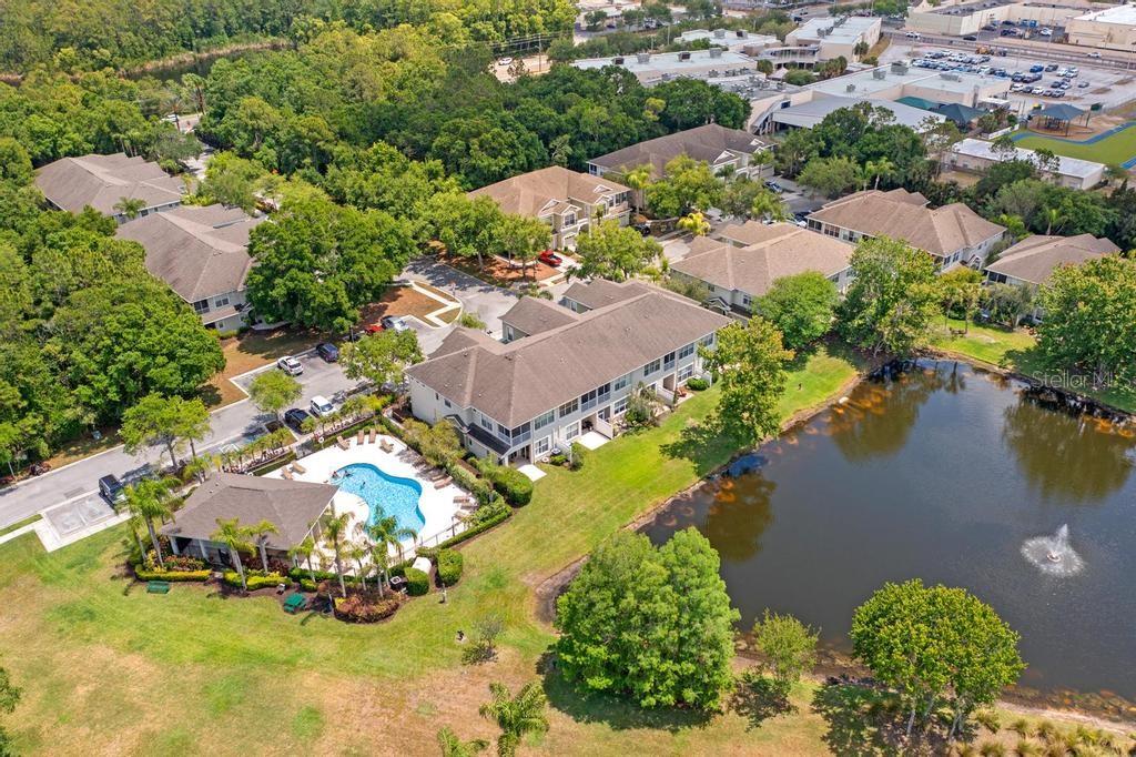14072 WATERVILLE CIR, TAMPA, FL, 33626