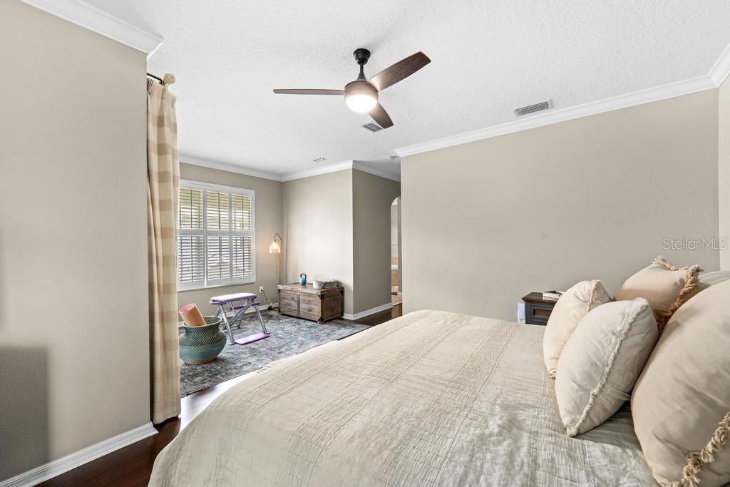 14072 WATERVILLE CIR, TAMPA, FL, 33626
