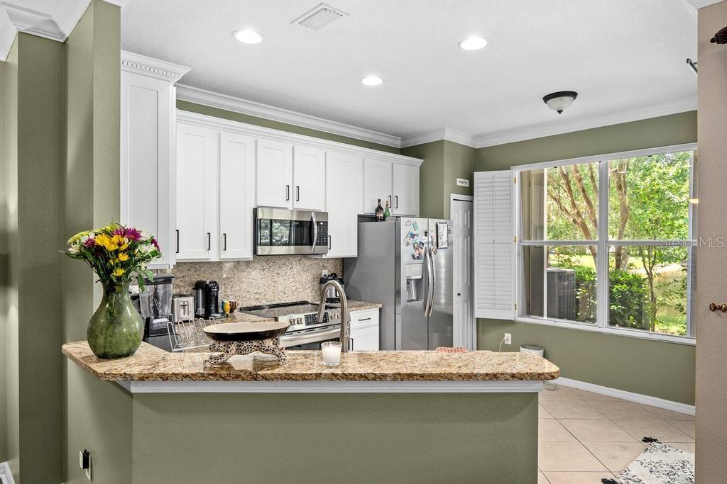 14072 WATERVILLE CIR, TAMPA, FL, 33626