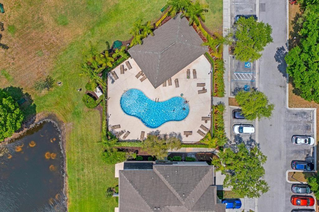 14072 WATERVILLE CIR, TAMPA, FL, 33626
