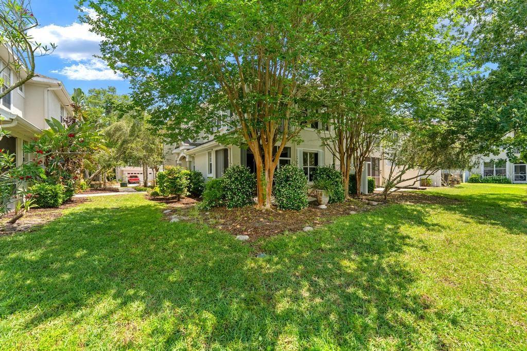 14072 WATERVILLE CIR, TAMPA, FL, 33626