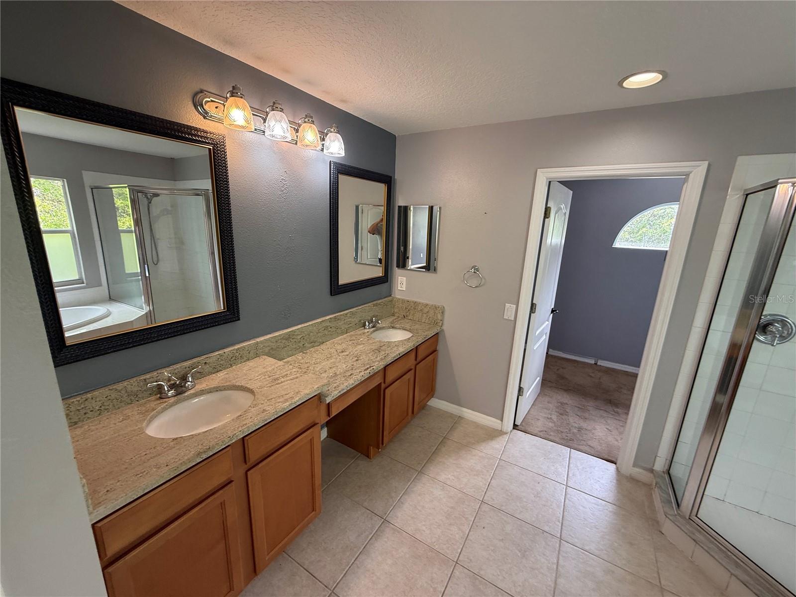 10427 LUCAYA DR, TAMPA, FL, 33647