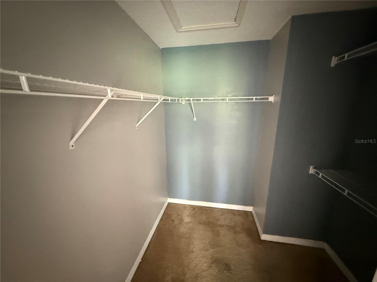10427 LUCAYA DR, TAMPA, FL, 33647