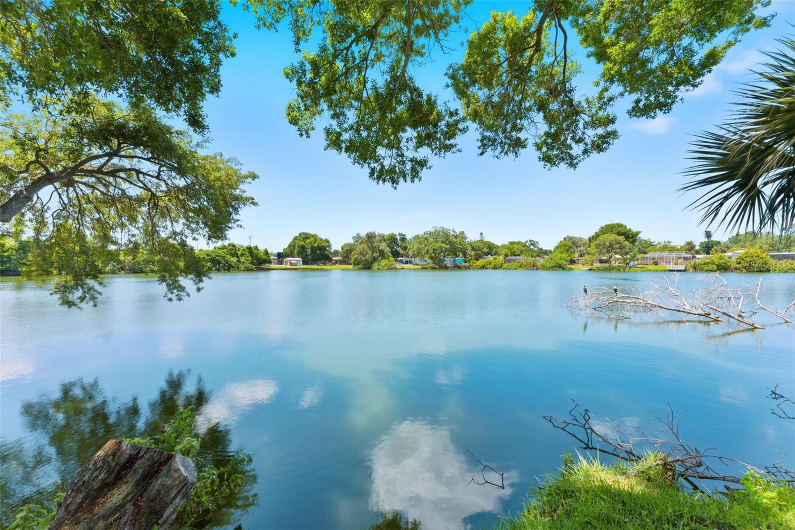 10220 BLOSSOM TRL, SEMINOLE, FL, 33772
