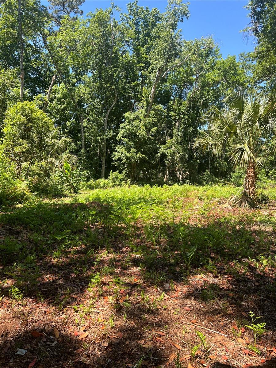 1735 TIMOCUAN WAY, LONGWOOD, FL, 32750
