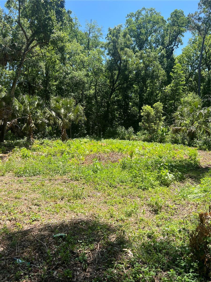 1735 TIMOCUAN WAY, LONGWOOD, FL, 32750