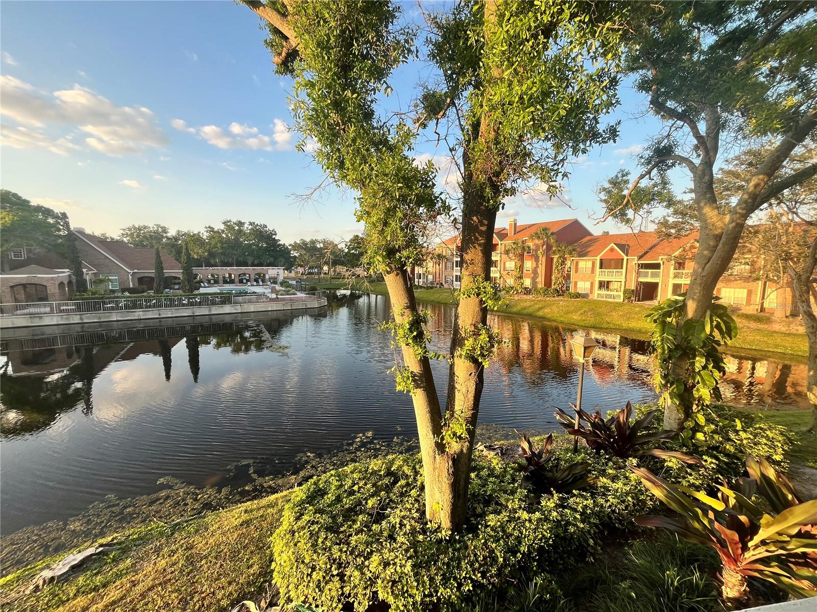 10200 GANDY BLVD N #1229, ST PETERSBURG, FL, 33702