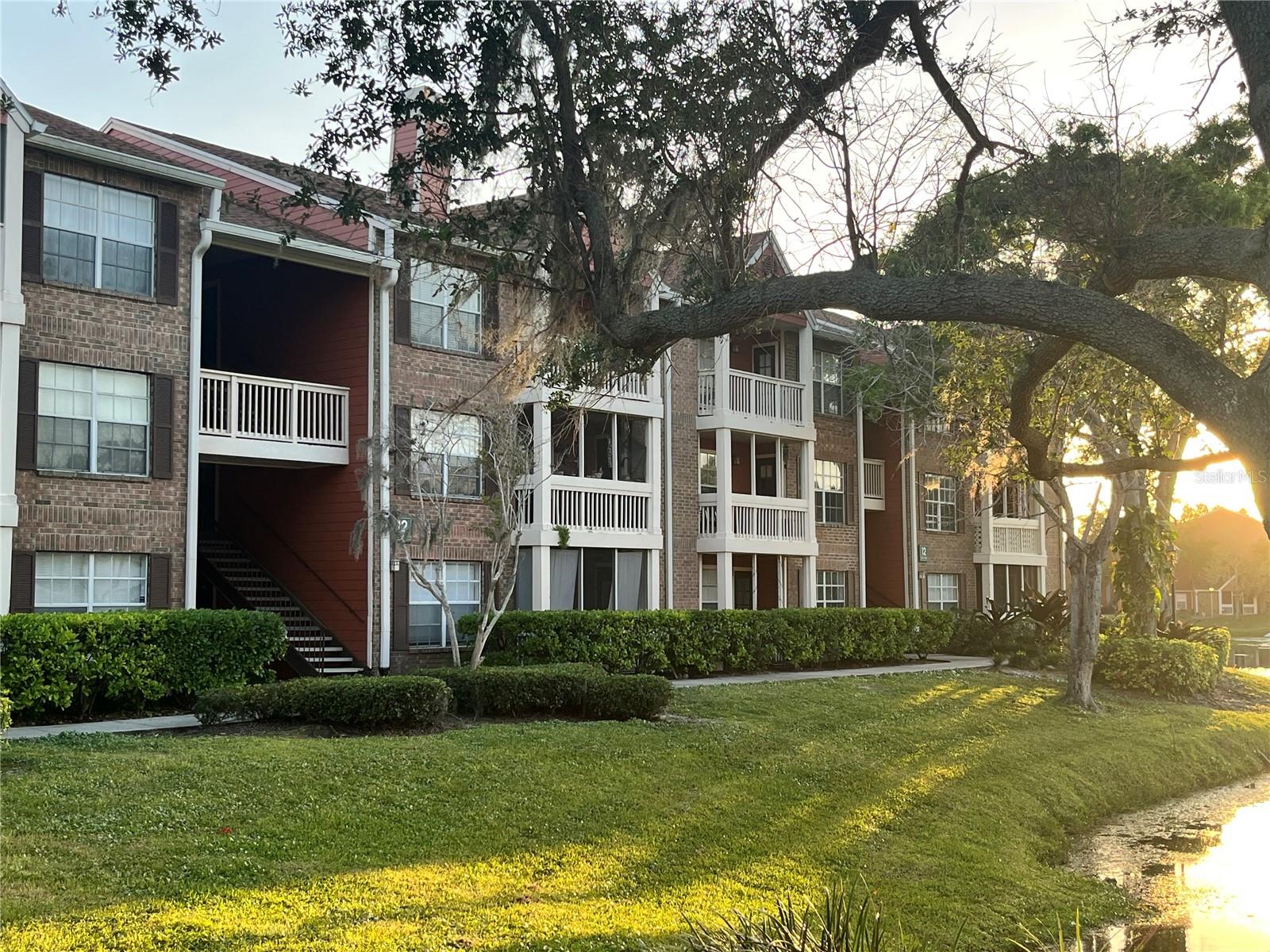 10200 GANDY BLVD N #1229, ST PETERSBURG, FL, 33702