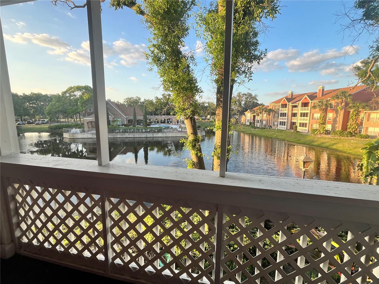 10200 GANDY BLVD N #1229, ST PETERSBURG, FL, 33702