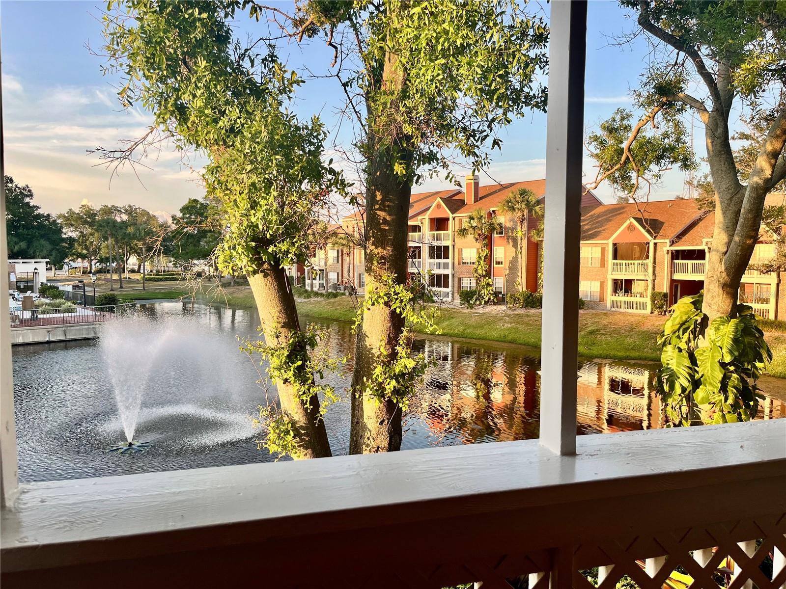 10200 GANDY BLVD N #1229, ST PETERSBURG, FL, 33702