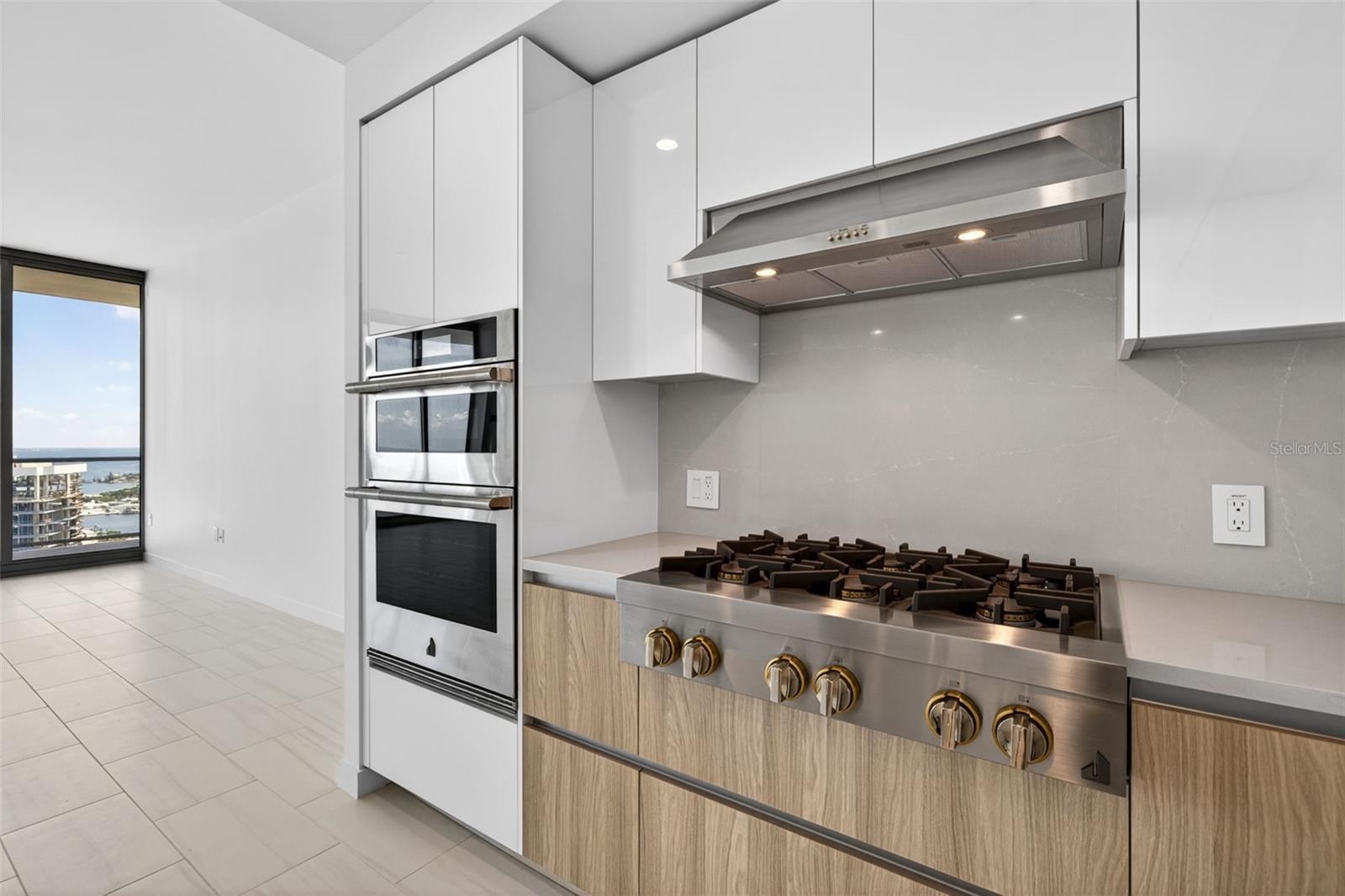 400 CENTRAL AVE #3706, ST PETERSBURG, FL, 33701