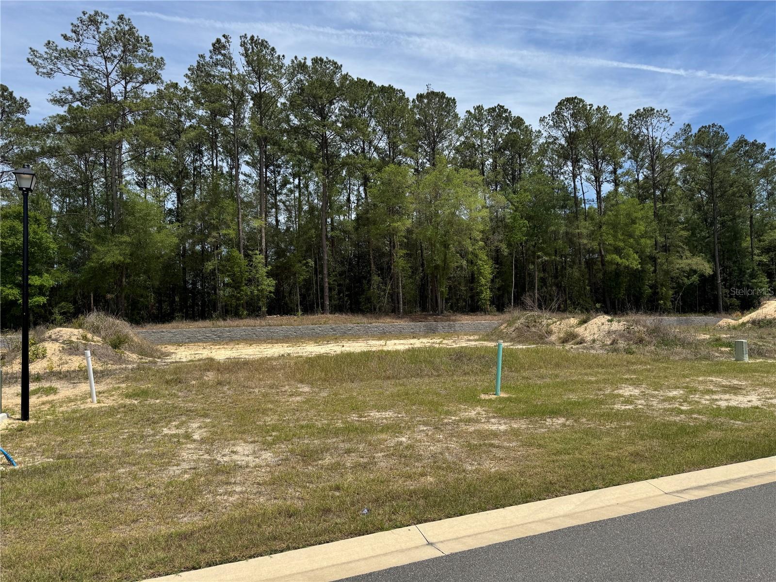 1047 SW 147TH TER, NEWBERRY, FL, 32669