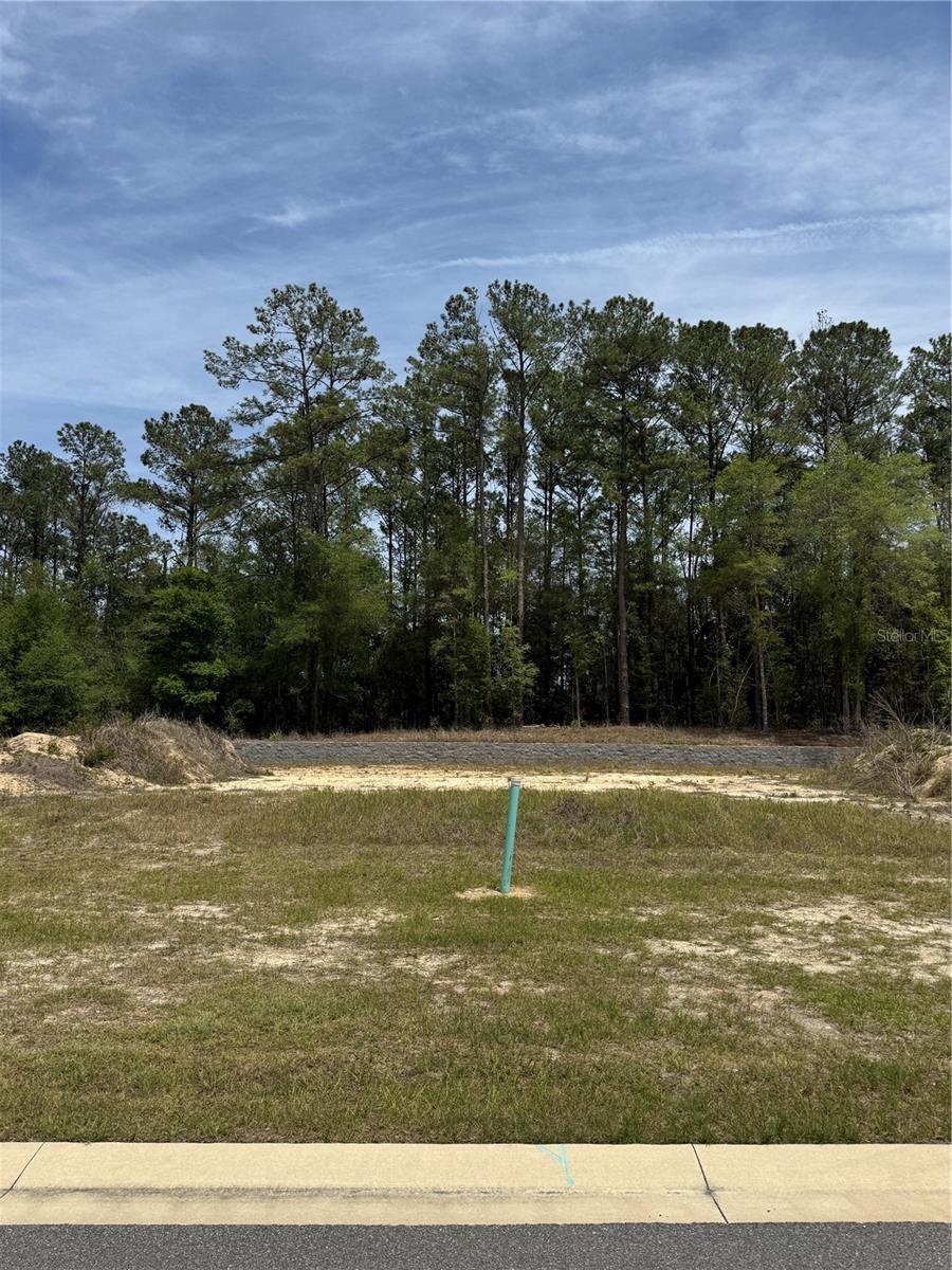 1047 SW 147TH TER, NEWBERRY, FL, 32669
