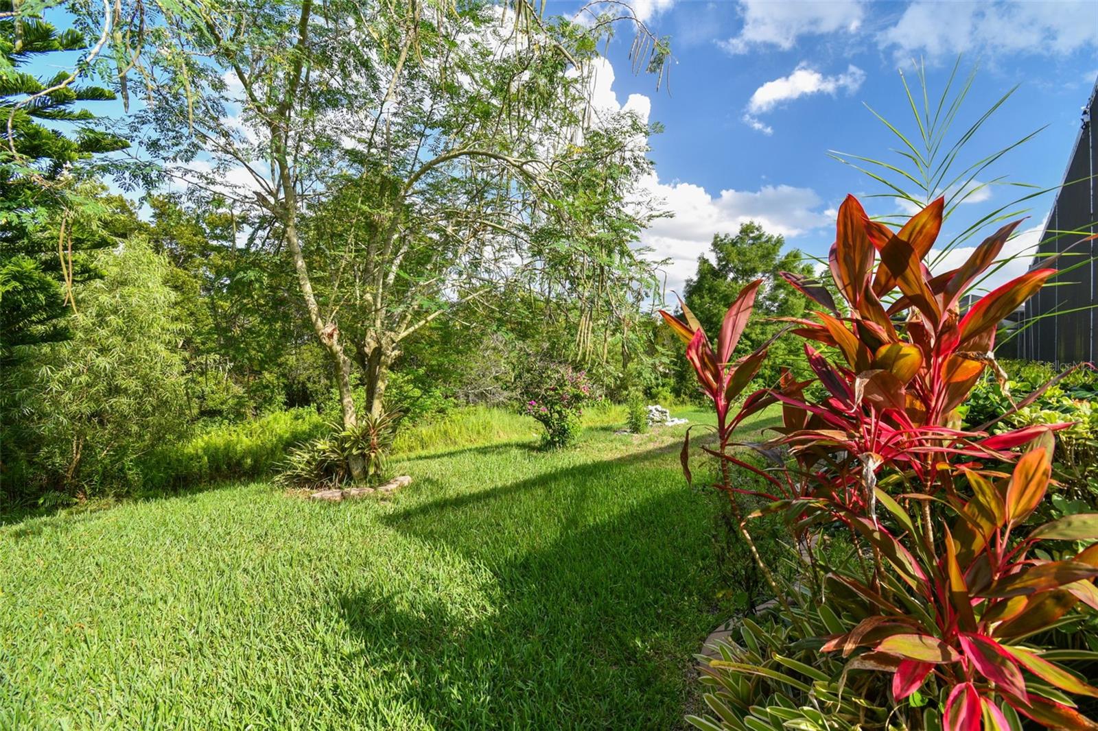 3216 SAGO POINT CT, LAND O LAKES, FL, 34639