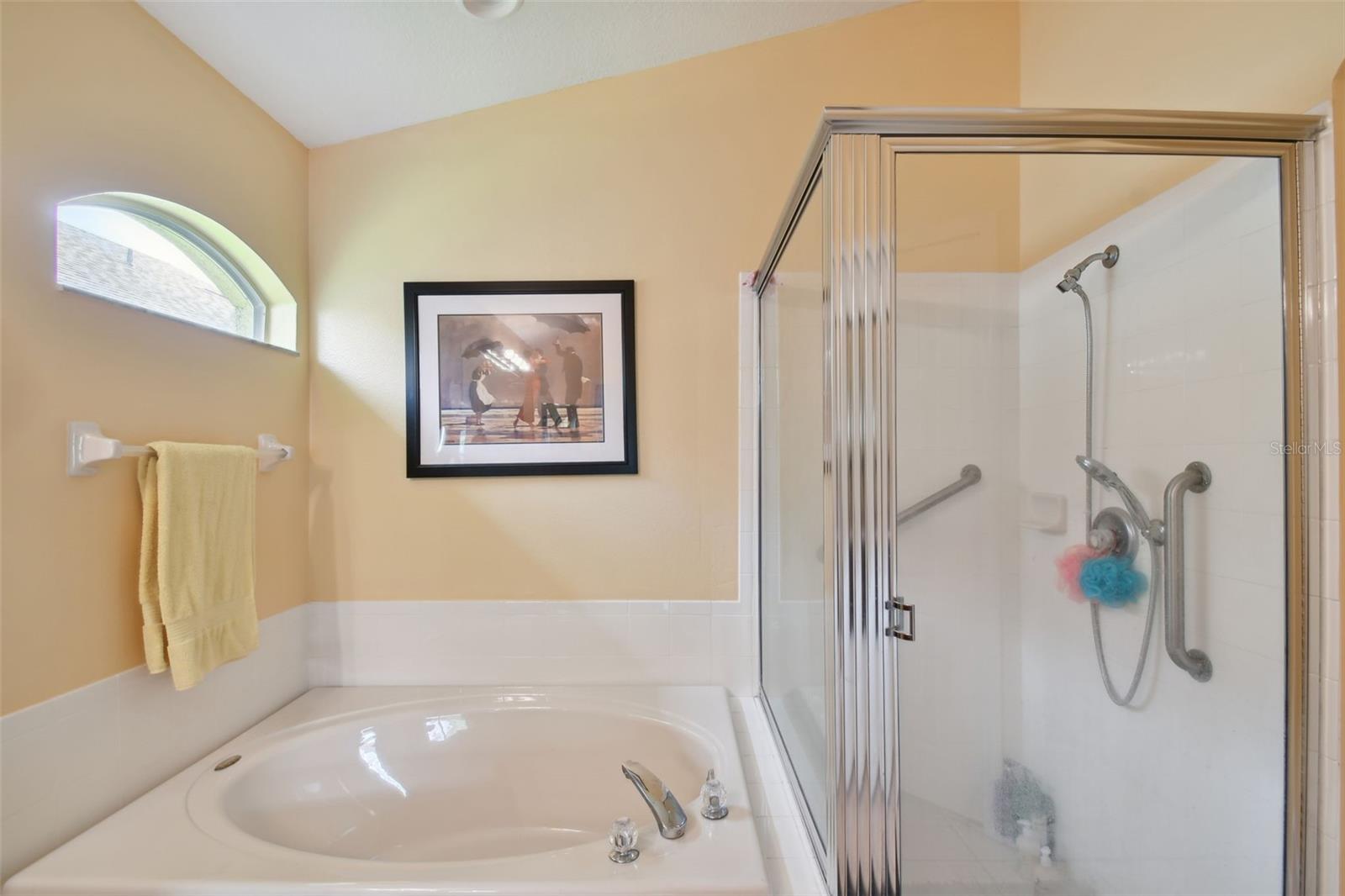 3216 SAGO POINT CT, LAND O LAKES, FL, 34639