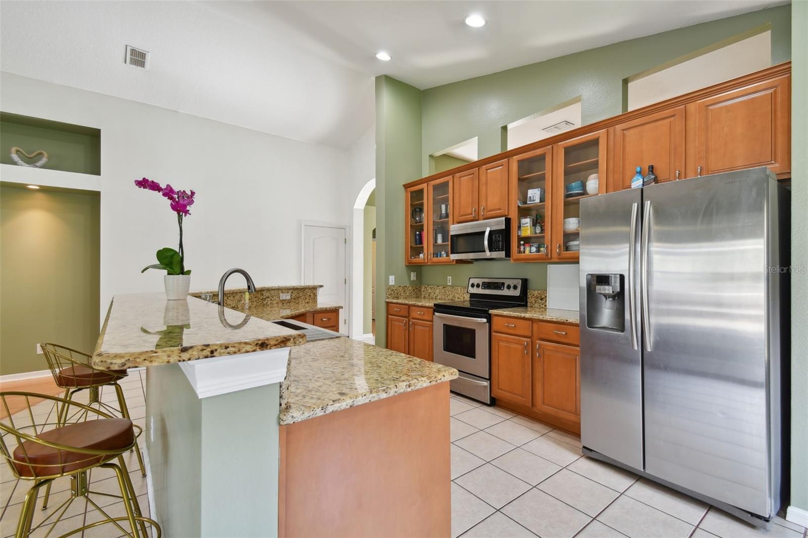 3216 SAGO POINT CT, LAND O LAKES, FL, 34639
