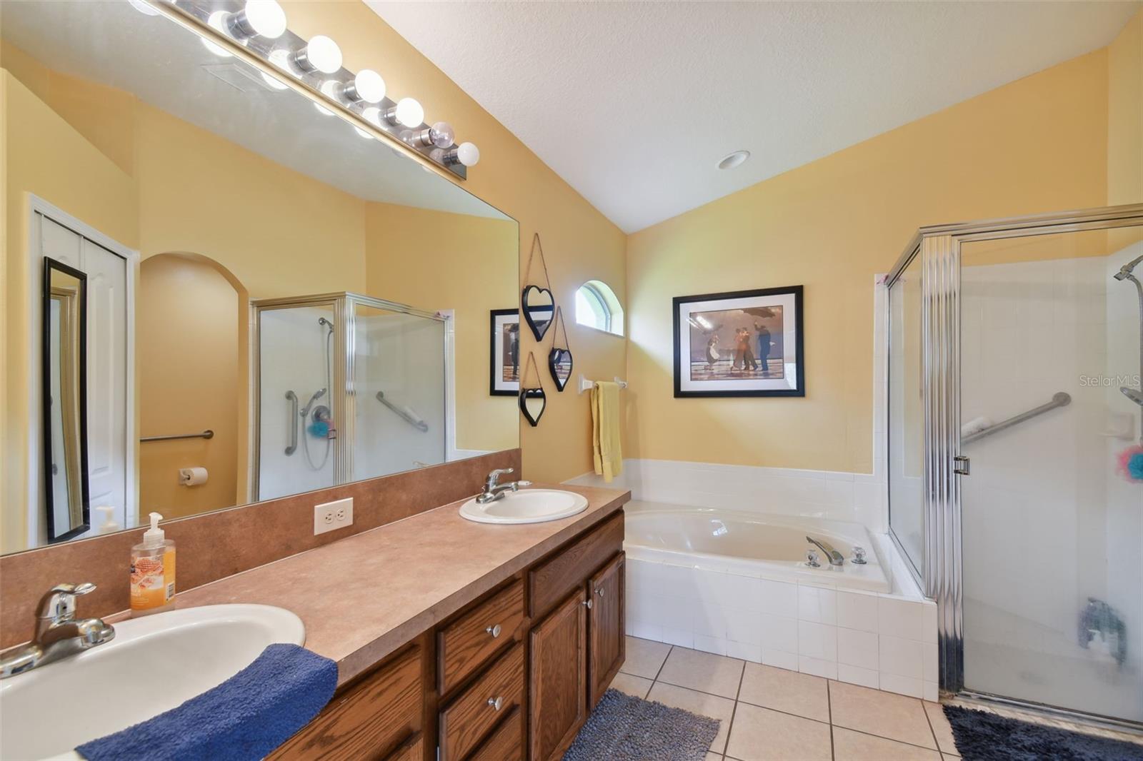 3216 SAGO POINT CT, LAND O LAKES, FL, 34639