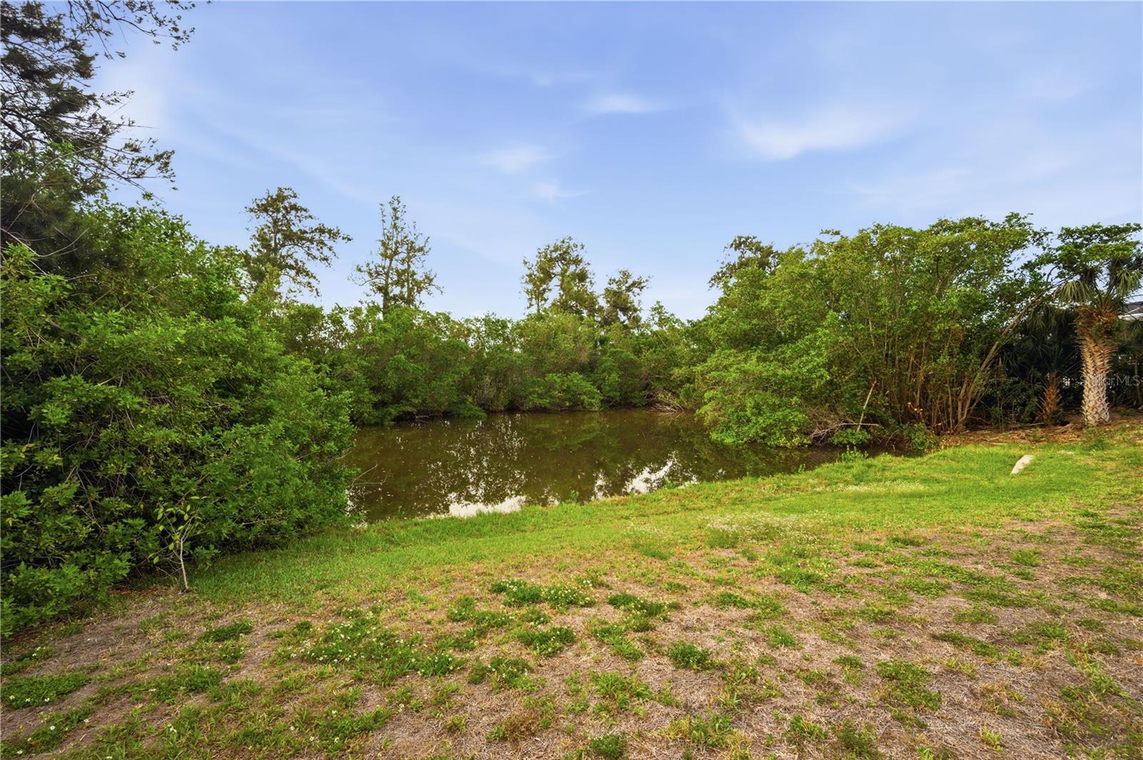 718 BUNKER VIEW DR, APOLLO BEACH, FL, 33572