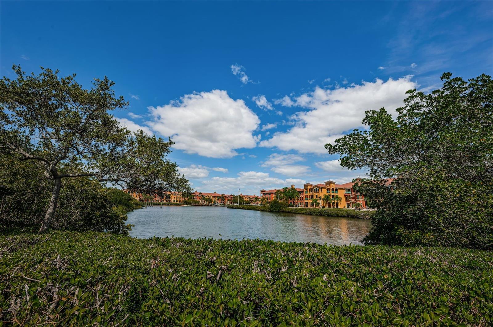 2757 VIA CIPRIANI #1110B, CLEARWATER, FL, 33764