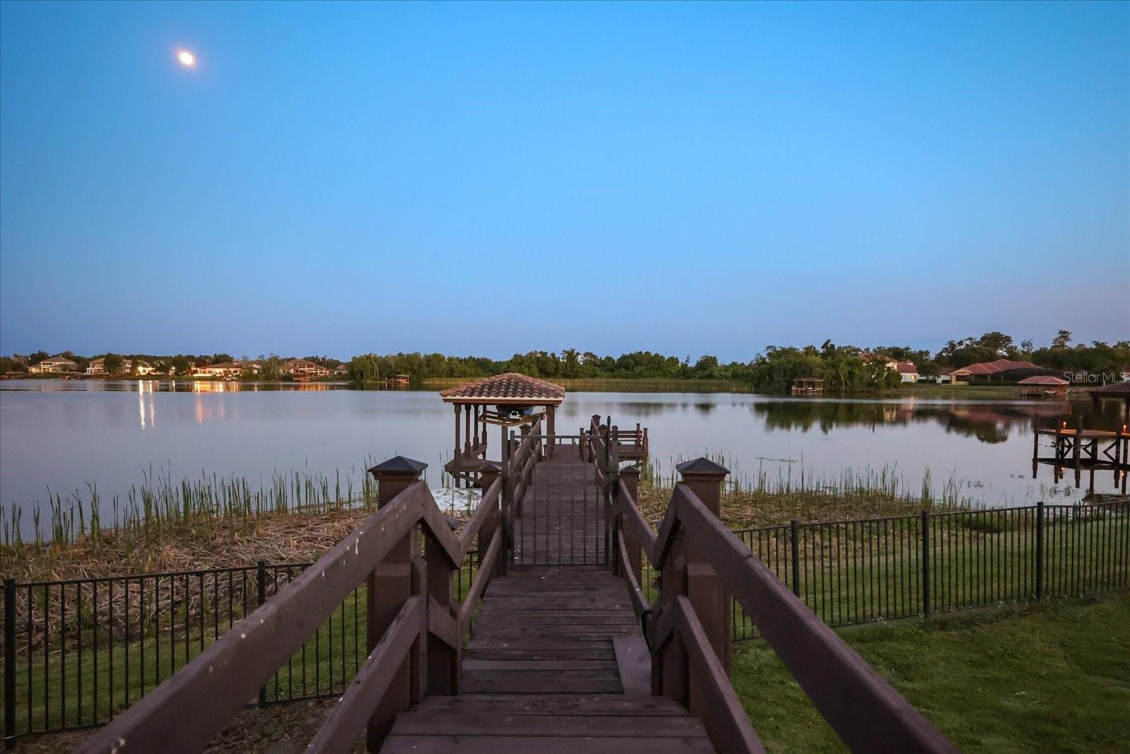 1136 LAKE WHITNEY DR, WINDERMERE, FL, 34786