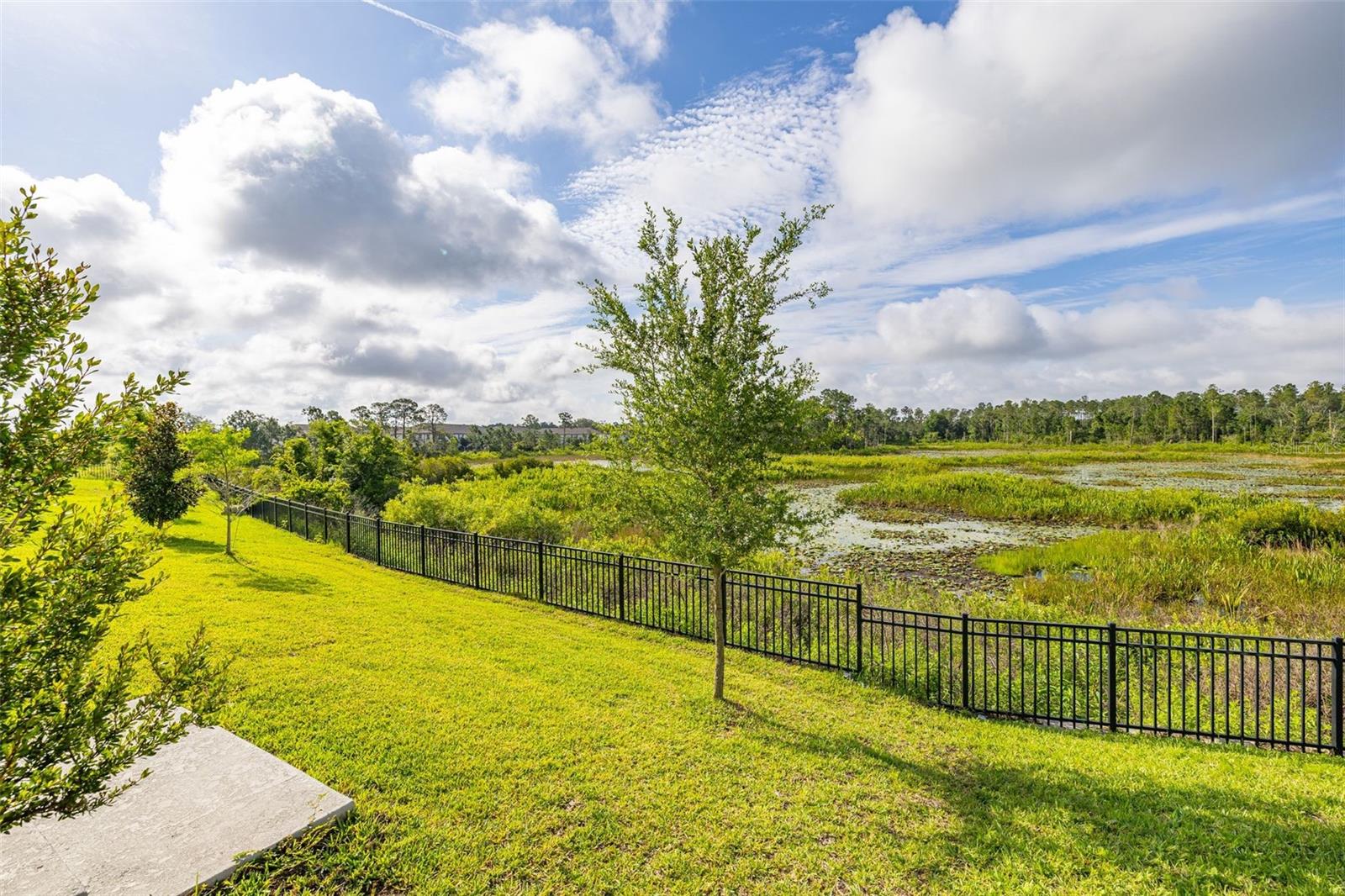 2236 DERWENT DR, DAVENPORT, FL, 33896