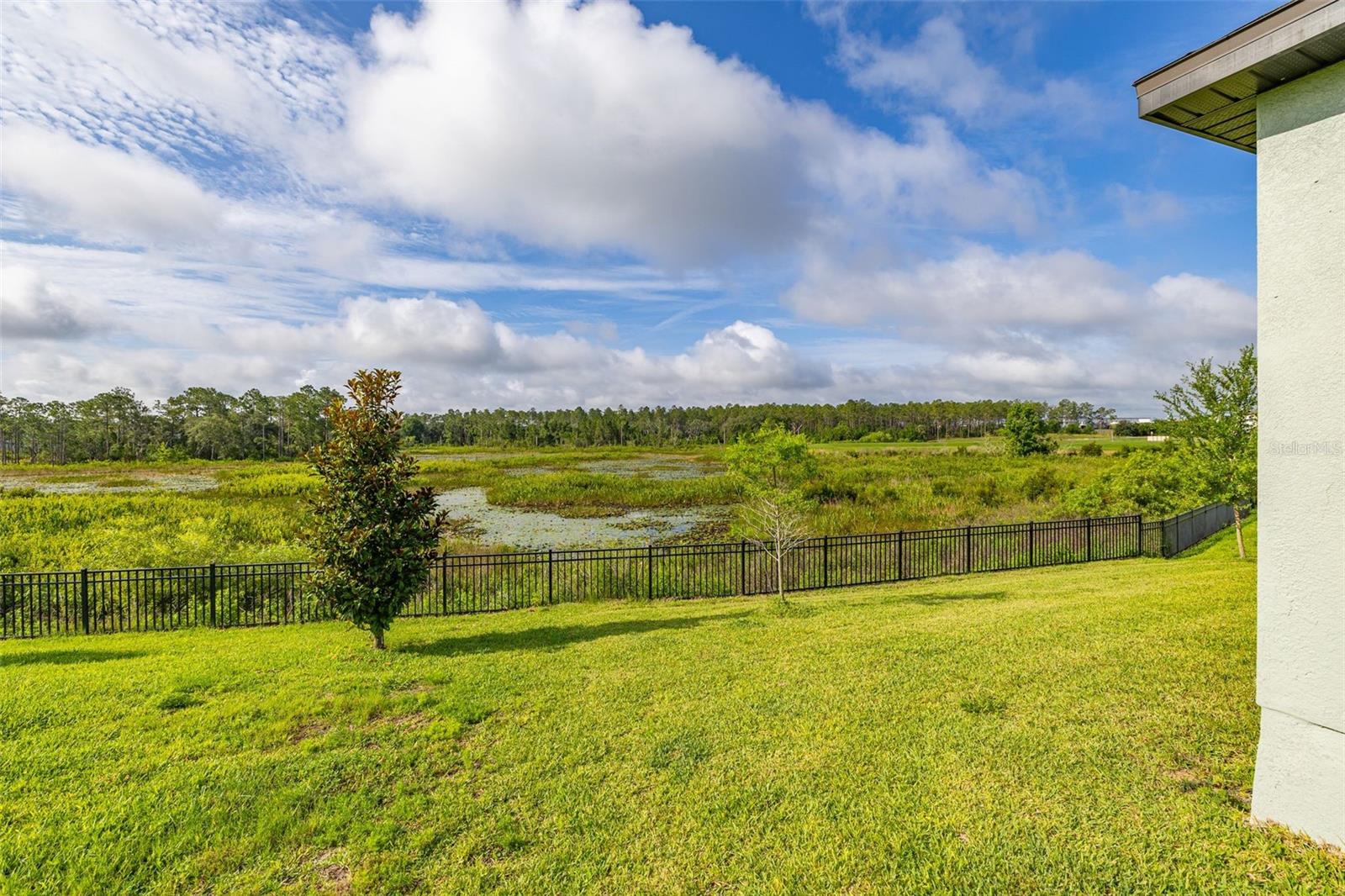 2236 DERWENT DR, DAVENPORT, FL, 33896