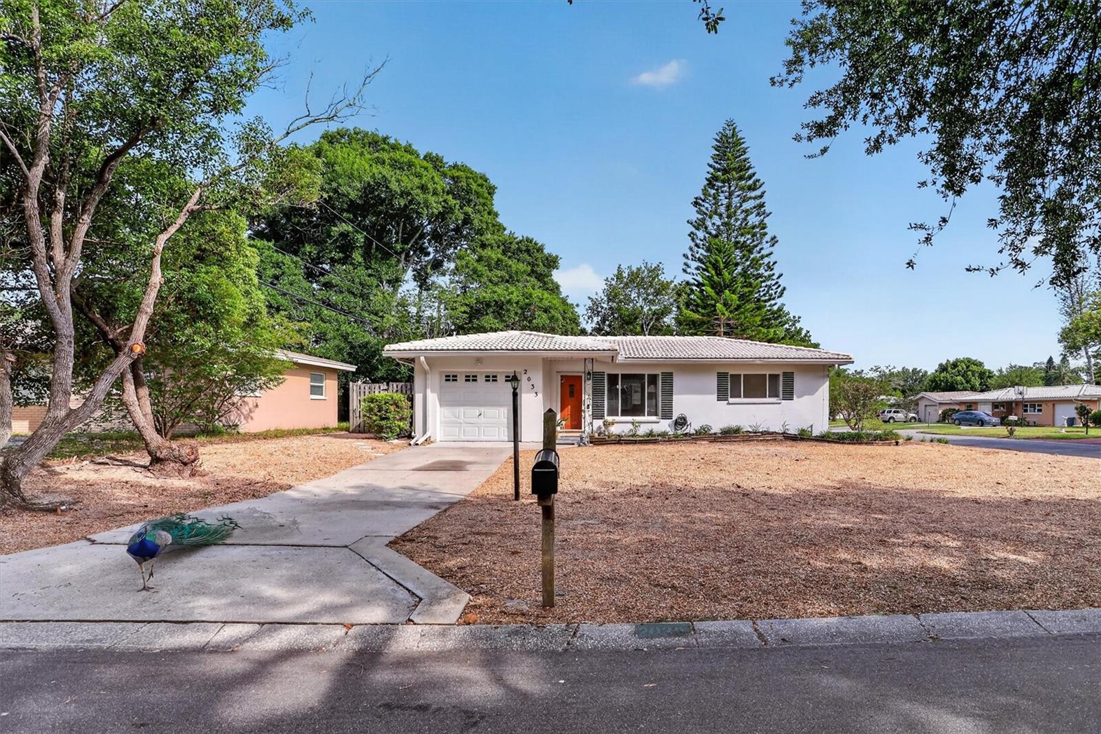 2033 TIMBER LN, CLEARWATER, FL, 33763
