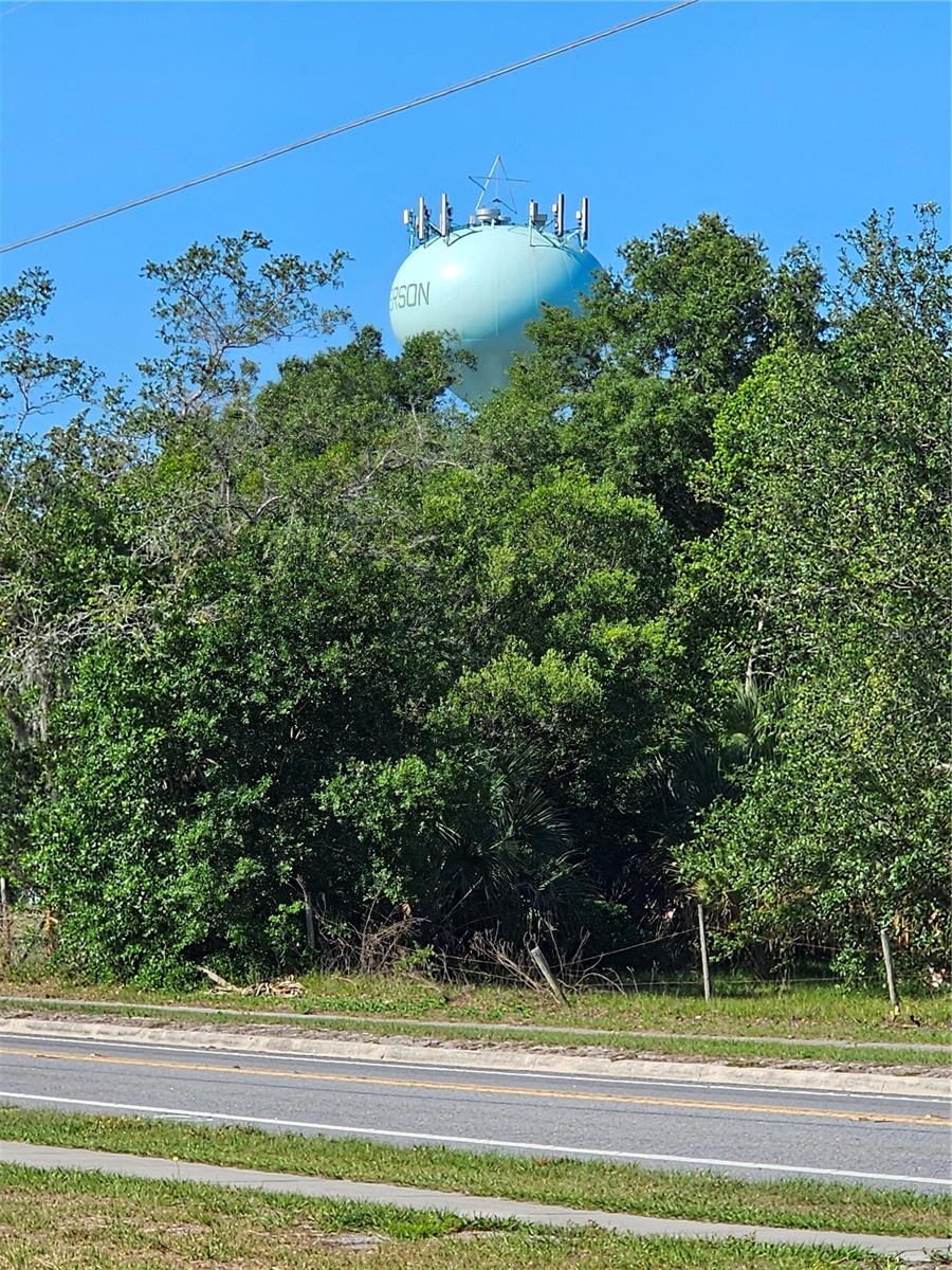 123 W 2ND AVE, PIERSON, FL, 32180