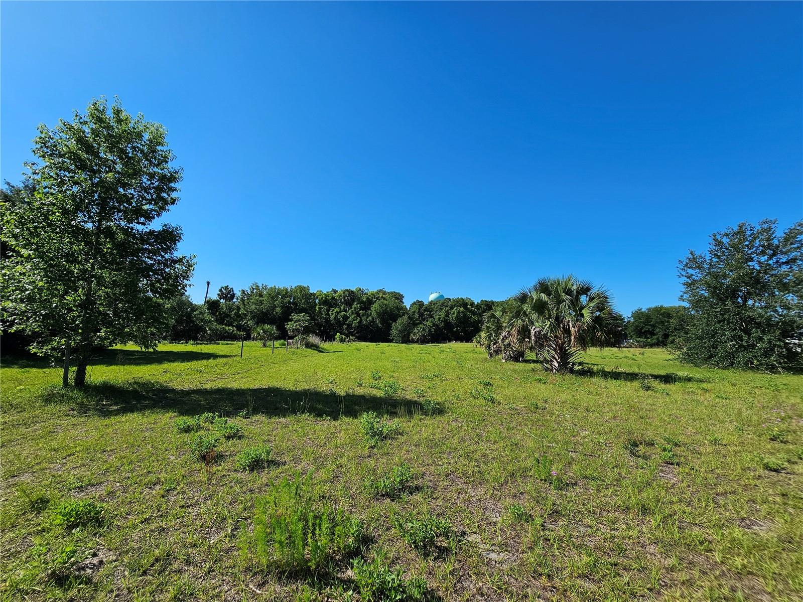 123 W 2ND AVE, PIERSON, FL, 32180