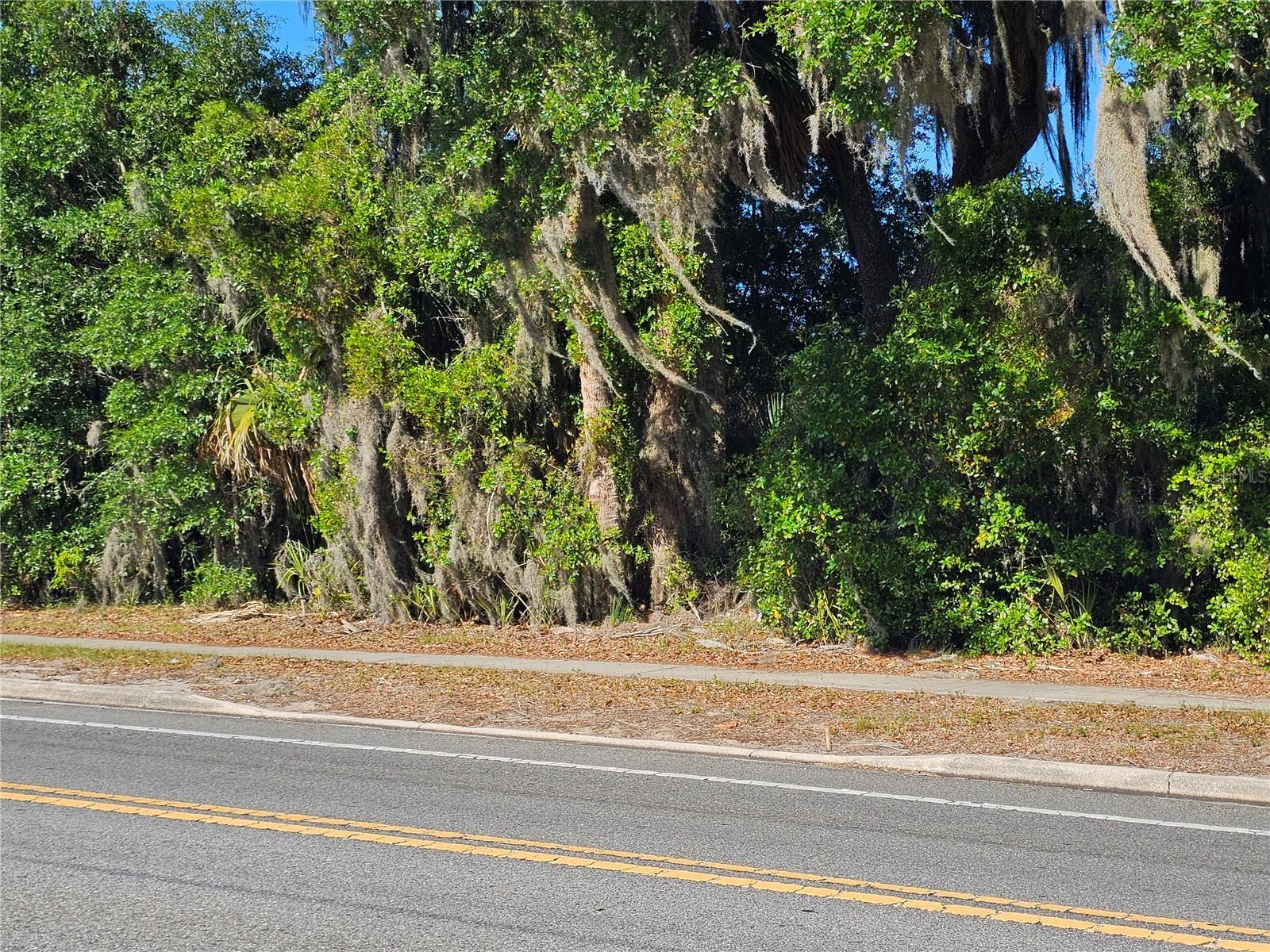 123 W 2ND AVE, PIERSON, FL, 32180